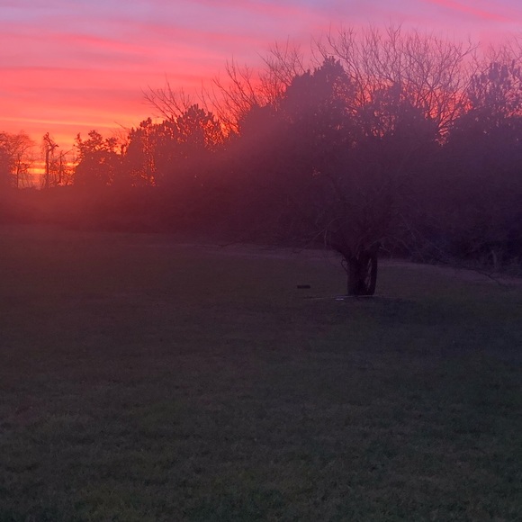 Meet your Posher, Razia - Picture 1 of 1